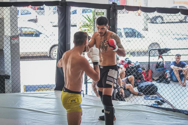 Impact de l'Euro Football sur le Classement Mondial FIFA : Une Analyse Profonde et Engageante